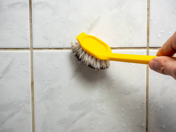 Trusted Dequincy, LA Mold Removal Experts
