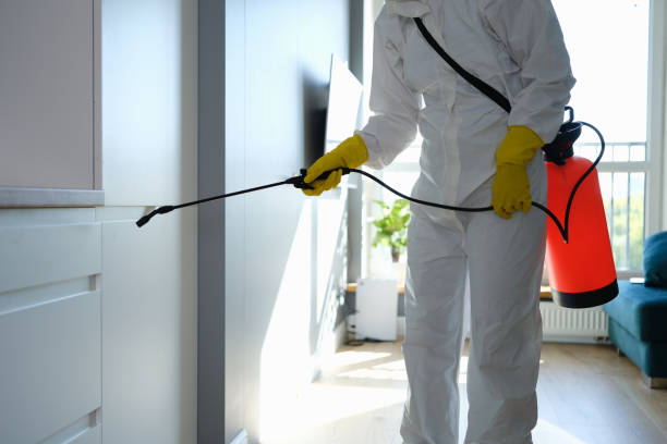 Best Residential Mold Removal  in Dequincy, LA